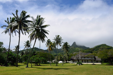 RAROTONGA - SEP 16 2013:An old Colonial house under the Te Manga. It's the highest peak in Rarotonga, Cook Islands. (652 metres above sea level)のeditorial素材