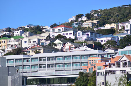 WELLINGTON - AUG 22 2014:Houses on mount victoria.The average property price in Wellington city is about $540,000.のeditorial素材