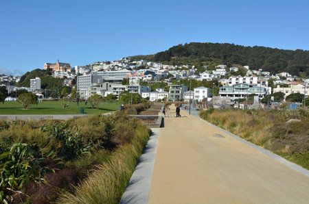 WELLINGTON - AUG 22 2014:Visitors at Waitangi skate park.Wellington is New Zealand's centre of government and the world's southernmost capital city.のeditorial素材