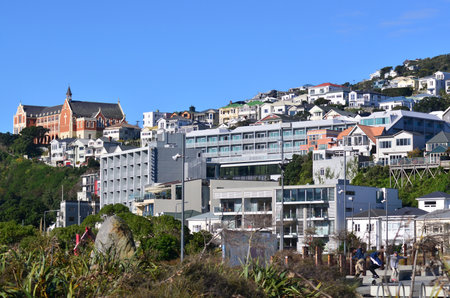 WELLINGTON - AUG 22 2014:Houses on mount victoria.The average property price in Wellington city is about $540,000.のeditorial素材