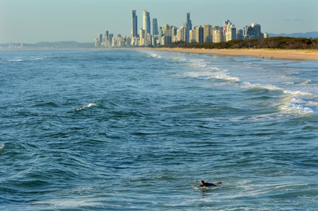 GOLD COAST - OCT 13 2014: Surfer catching waves in the Spit beach.It is a very popular surfing beach in Surfers Paradise Gold Coast Queensland, Australia.のeditorial素材