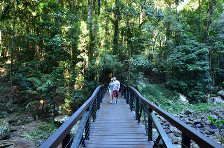 GOLD COAST - OCT 06 2014:Couple visit in Springbrook National Park in Queensland Australia.It's a...