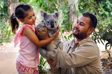 GOLD COAST, AUS - NOV 04 2014:Little girl (Talya Ben-Ari age 05) holding a Koala with Zookeeper in Currumbin Wildlife Sanctuary Gold Coast Queensland, Australia.Koalas cannot be kept legally as pets.のeditorial素材