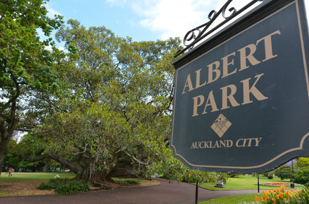 AUCKLAND - JAN 09 2015: Visitors in Albert park. Albert Park is a famous scenic park in central Auckland, New Zealand.のeditorial素材