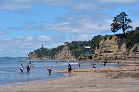 AUCKLAND, NZL - DEC 21 2014:Visitors on Browns Bay beach.Browns Bay is a very popular tourist destination on Auckland North Shore, New Zealand.のeditorial素材