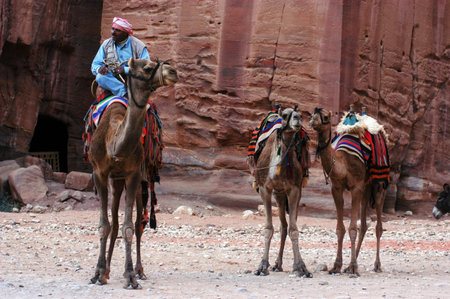 PETRA - NOV 09:Jordanian bedouin man on a camel in Petra on November 09 2007.Petra was originally the capital city of the Nabataeans, an ancient Arab civilization.のeditorial素材