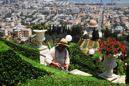 HAIFA,ISR - JULY 14:Bahai is gardening the garden of the Bahai Temple on July 14 2008.The Baha'i faith was founded in Iran in 1863 by Mirza Husayn ali Nuri 1817-92, known as Bahaullah or Baha Allah.のeditorial素材