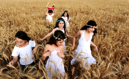 KIRYAT GAT - MAY 24: Israeli girls and boys in a wheat field celebrate the Jewish holiday Shavuot by carry First Fruits of the harvest basket on May 24 2009 near Kyryat Gat, Israel.It's Judaism's third largest feast which commemorates the handing down of のeditorial素材