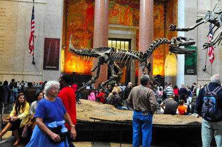 NY - OCT 10: Visitors at the American Museum of Natural History on October 10 2009 in Manhattan New York.It's dinosaur halls, are the world's largest exhibit of its kind.のeditorial素材