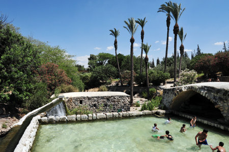 BEIT -SHEAN, ISRAEL - MAY 17:Visitors at Gan Hashlosha on May 17 2009 near Beit She'an, Israel.のeditorial素材