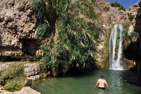 EIN GEDI, ISR - JUNE 07  :Visitor swim in Ein Gedi spring on June 07 2009. It's a very famous and popular oasis on the shore of Israel's Dead Sea, the lowest place on Earth.のeditorial素材