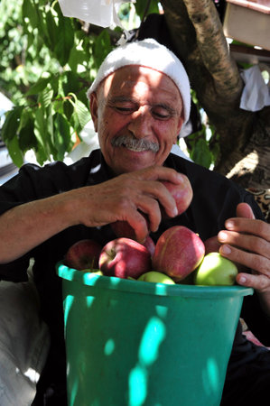 GOLAN HEIGHTS - AUG 23:Druze man picks up apples on August 23 2009 Golan Heights, Israel.About 20,000 Druze Muslims live there and Israel gave them citizenship though most rejected it.のeditorial素材
