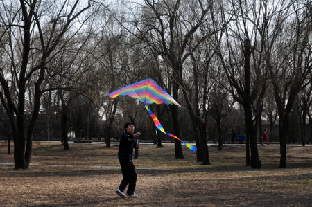 BEIJING - MAR 14:Chinese man fly kite in Beijing,China on March 14 2009.Kite flying was banned in China during the Cultural Revolution (1966-1976)and people who fly kites in public sent to jail for itのeditorial素材