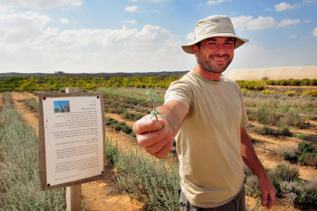 NEGEV DESERT - APRIL 06: An Israeli farmer during desert farming on April 06 2011 in the Negev, Israel.Israel is a major exporter of fresh produce and a world-leader in agricultural technologies despite its climate.のeditorial素材