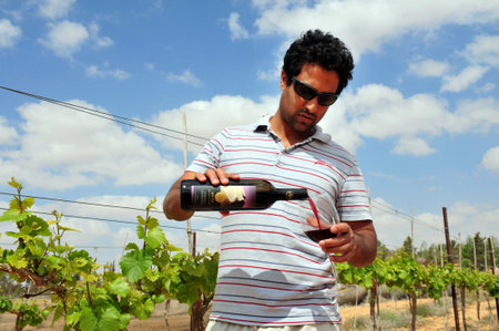 WESTERN NEGEV - APRIL 06: A man hold a bottle of wine in a boutique vineyard on April 04 2011 in the Western Negev, Israel.のeditorial素材