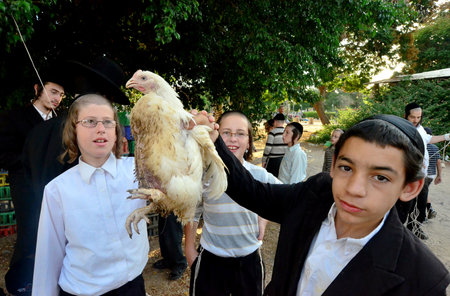 ASHDOD - SEPTEMBER 15 :Ultra orthodox Jewish  boy waves a chicken over his head during the 'Kaparot' ceremony held on September 15 2010 in Ashdod Israel.のeditorial素材