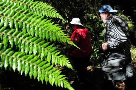 FIORDLAND, NZ- FEB 28:Tourist explores Fiordland on February 28 2009.It's one of the most dramatic and beautiful parts of New Zealand and the largest of NZ national parks with an area of 12,500 km.のeditorial素材