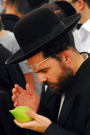 ASHDOD - OCTOBER 12 : Jewish ultra-orthodox man inspect Etrogs at a four species market for the Jewish holiday of Sukkot on October 12 2011 in Ashdod,Israel.のeditorial素材