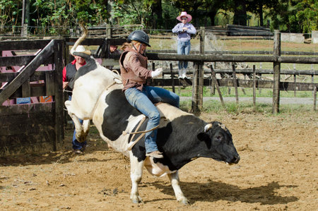 NORTHLAND, NEW ZEALAND - APRIL 8 2012: Bull riding in a rodeo show in Northland New Zealand on April 7 2012.のeditorial素材