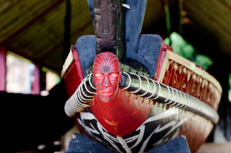 WAITANGI - OCTOBER 02: The Whare Waka Canoe house with 35 metre Waka war canoe on Oct 02 2012 in Waitangi National Reserve, Bay of Islands, Far North District, Northland Region, New Zealand NZ.のeditorial素材