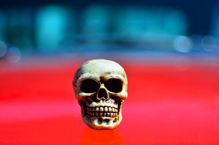 Skeleton on a red sports muscle car hood.の写真素材