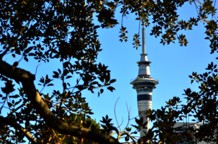 AUCKLAND,  NZL - NOV 05 2015:Sky Tower in Auckland New Zealand.It's 328m 1,076 ft tall from ground level to the top of the mast making it the tallest free-standing structure in the Southern Hemisphere.のeditorial素材