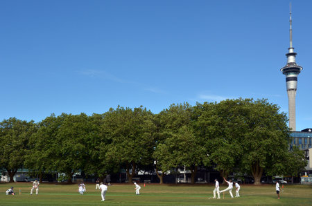 AUCKLAND - NOV 14 2015:Men play Cricket in victoria park Auckland, New Zealand.It's one of New...