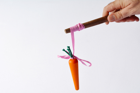 Man hand offering a carrot  on a stick. Business concept and ideas. carrot or stick approach idiom -  rewards and punishmentの写真素材