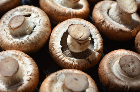 Brown button mushrooms background texture.