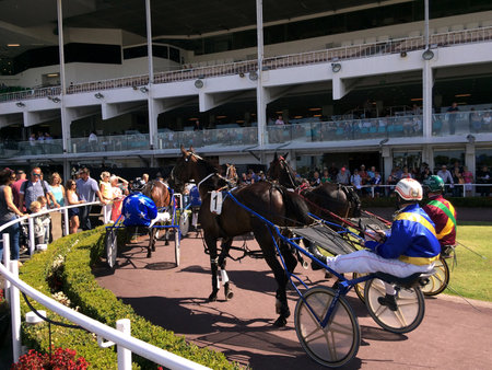 AUCKLAND - DE 31 2015:Harness racing in Alexandra Park Raceway in Auckland New Zealand.Chariot...