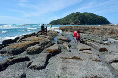 GOAT ISLAND, NZL - JAN 25 2016: Visitors in Goat Island beach.It is within Cape Rodney-Okakari Point Marine Reserve, New Zealand's first marine reserve.のeditorial素材