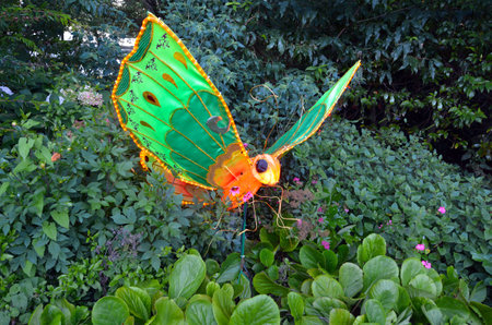 AUCKLAND - FEB 20 2016:Handmade Chinese butterfly lanterns in Auckland LanternFestival. ts the largest Chinese festival in New Zealand with 800 handmade lanterns to celebrate Chinese New Year.のeditorial素材
