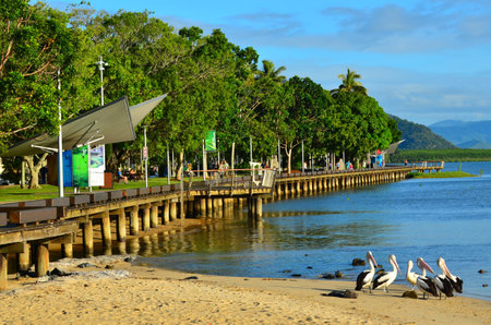 CAIRNS, AUS - APR 15 2016:Visitors and Pelicans in Cairns Esplanade, a very popular tourist travel destination in Cairns Queensland, Australia.のeditorial素材