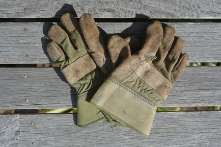 Flat lay of working garden gloves on a wooden surface