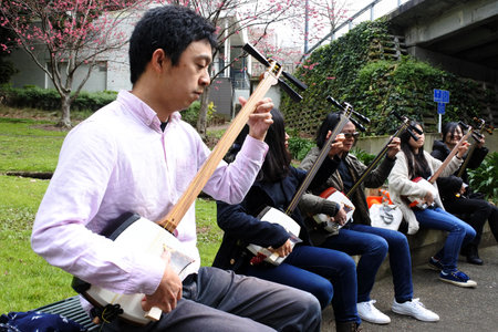Auckland, New Zealand - September 04 2016: Japanese people play on Shamisen musical instrument.  The instrument used to accompany puppet plays and folk songsのeditorial素材