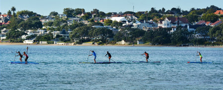 Auckland, New Zealand - Feb 11, 2017: Sports people race during a paddle board race in the ocean in Auckland, New Zealand. A 2013 report identified Standup paddleboarding as the outdoor sporting activity with the most first-time participants in the Unitedのeditorial素材