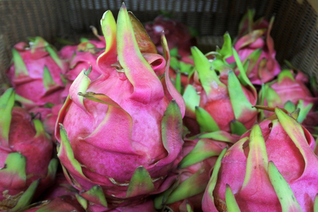 Pitaya Fruit on display in Rarotonga Market Cook Islands.  Food background and texture. Copy spaceの写真素材