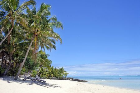 Landscape view of Coconut palm trees on Titikaveka beach in Rarotonga, Cook Islands.
