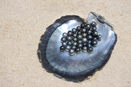 Flat lay view of excellent Round Tahitian Black Pearls on a Black lip oyster shell.の写真素材