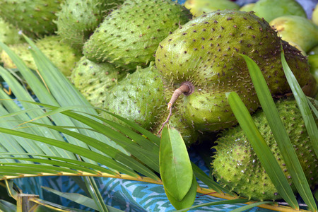 Soursop fruit for slae in the market in Rarotonga, Cook Islands. Soursop used in alternative...