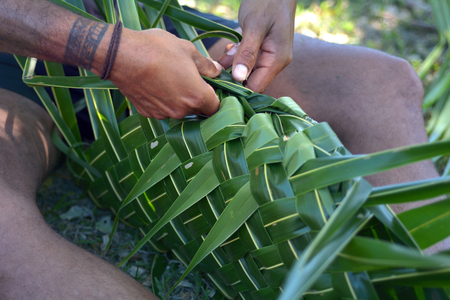 Fijian man preparing a basket made out of palm tree leaves full with meat for Lovo. Lovo (Fijian cooking food underground) is commonly made during special events such as funerals, weddings, Christmas or birthdays.の写真素材