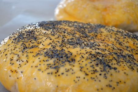 Challah bread dough covered with Poppy seed and eegg wash left to rise before baking in the oven.Food background and texture.の写真素材