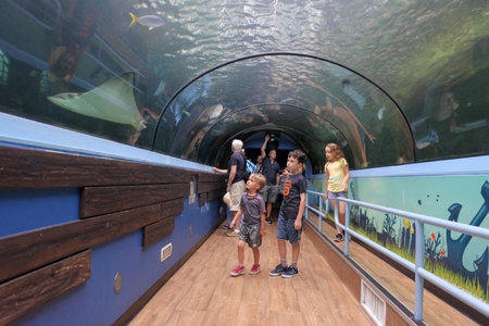 SYDNEY - FEB 21 2019:Visitors looking at fish in Sea Life Aquarium in Sydney New South Wales Australia that displaying more than 700 species and 13,000 individual fish and other sea and water creatures.のeditorial素材