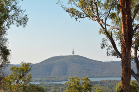 Telstra Tower a telecommunications tower and lookout that is situated above the summit of Black...