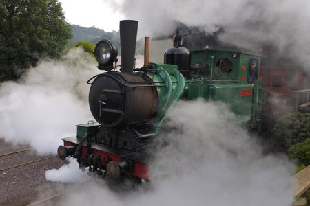 Queenstown, Tasmania - March 27, 2019: Tasmania West Coast Wilderness Railway.The original railway...
