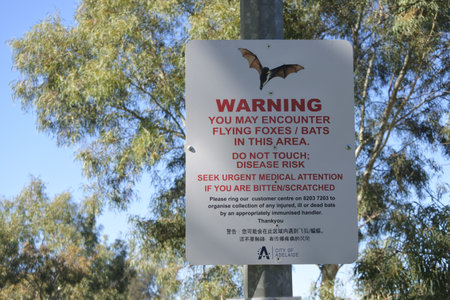 Adelaide, Australia - March 29 2019: Flying Foxes Bats Warning sign. Around 10 thousand Flying-foxes established their first permanent camp in Adelaide in 2010 that carry viruses that can infect and even kill peopleのeditorial素材