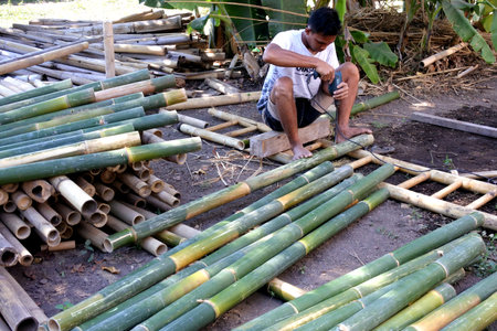Gili Air, Indonesia - August 02 2019:Indonesian man preparing bamboo scaffolding.Bamboo has a greater tensile strength than steel. It is also much cheaper to use, and completely environmentally friendly.のeditorial素材
