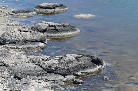 Stromatolites in Lake Thetis Cervantes Western Australia