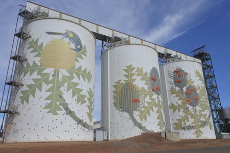 Ravensthorpe, Western Australia - December 12 2019: CBH Group grain Ravensthorpe Silos.CBH Group, is a grain growers cooperative that handles, markets and processes grain from the wheatbelt of Western Australiaのeditorial素材