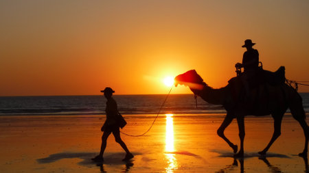 Silhouette of tourist on camel ride convoy on the beach during sunset.のeditorial素材